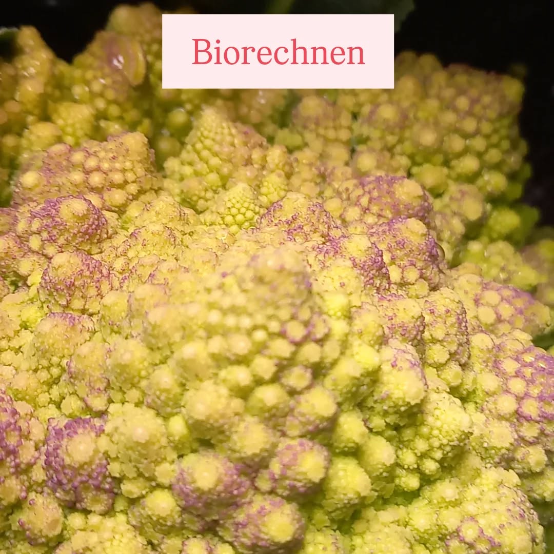 Perfekte Mathematik vom Feld. Auf dem #Eigerplatzmärit am Mittwoch und im Bioabo das erste mal in diesem Jahr. Vielleicht auch für dich? 74 verschiedene Gemüse von unserem Hof #Egggraben.