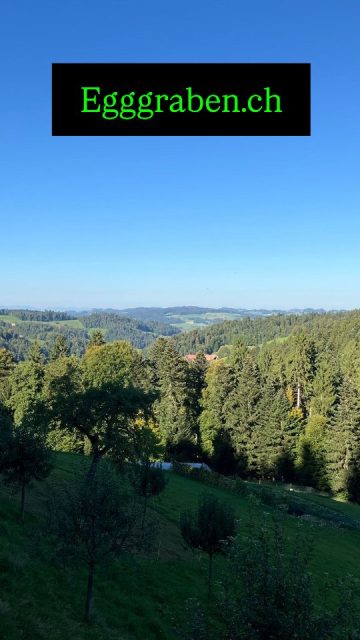 Usem Ämmitalnzu dir, jede Mittwuch ufem Eigerplatz z Bärm oder im Bioabo. Aus vo eim Hof. #bioabo #emmental #biohof #bern #regional #fein
